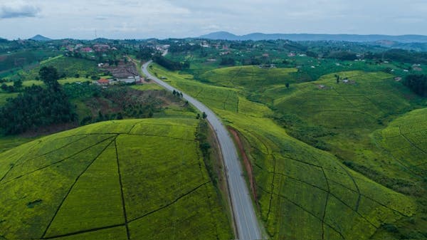 Country Image